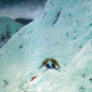 The Avalanche
