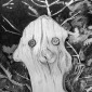 Driftwood Man Longing for the Sea