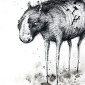 The Meadow Grazer