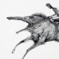 The Art of Taming Fear