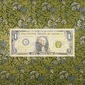 Dollar Bill