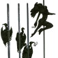 POLE DANCERS