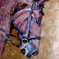 Horse (1)