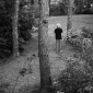 Black Rope in Woods