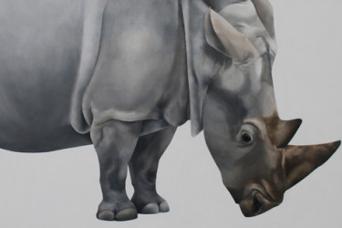 Collection Animal Portraiture; created by Leila Bibizadeh