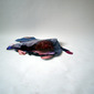 Dawn Woolley