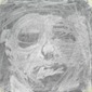 shroud