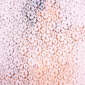 delicate violence series