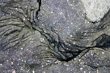 Collection Asphalt Stories; created by Anne Hanno-Nagel