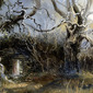Chestnut Trees