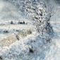 Snow Lane