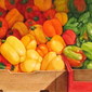 Peppers From Haymarket