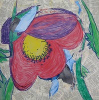 Anita Frei-Kraemer