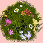 Brambles I