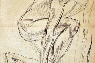 Collection The Figure; created by Fizz Fieldgrass