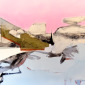Situation: pink