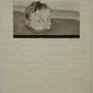 Gummo no.6