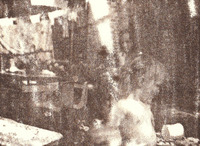 Lizzy Stewart