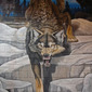 Mural