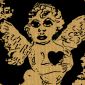 Diagnosis Angel Digital
