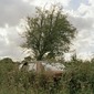 Aston End, England.From the series "Between Homes"