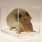 Dead Man's Patterns - Memento Mori skull 