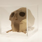 Dead Man's Patterns - Memento Mori skull 5
