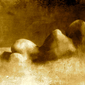 Reclining Nude on bed