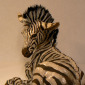 Zebra Foal