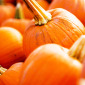 Pumpkins