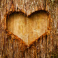 Heart in Wood