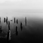 Andrea Gingerich