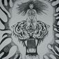 tigress within