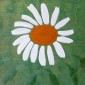 ...love flower...