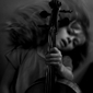 cello VII