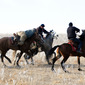 Buzkashi players
