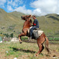 Tushetian boy on his horse