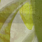 Ecophyte 1