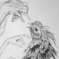 cock fight