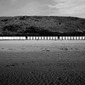 20081012_L1016461