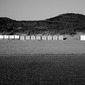 20081012_L1016519