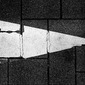 20090816_L1025275