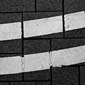 20090816_L1025277