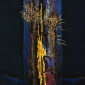 Blue III