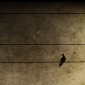 Emotional Distance