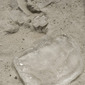 Sandbox