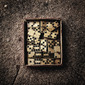 Domino Effect