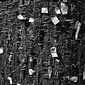 Post-No-Bills #1