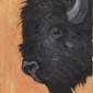 Buffalo #1. Oil on paper, © 2010 W. Eugene Hall