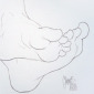 sketch